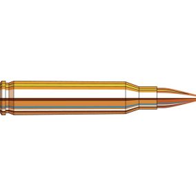 Cartouches 5.56 NATO 55 gr HP Match Frontier® x 20 Hornady