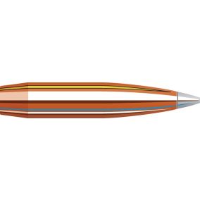 Balles 22 Cal .224 90 gr A-TIP Match x 100 Hornady