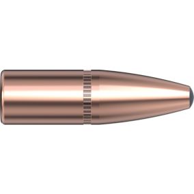 Balles 9.3mm .366 286 gr InterLock® SP-RP x 50 Hornady