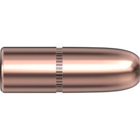 Balles 45 CAL .458 500 GR DGS® x 50 Hornady