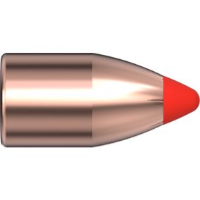 Balles 45 CAL .452 250 GR FTX® (450 BUSHMASTER) x 50 Hornady