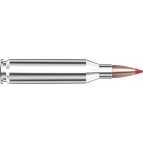 Cartouches 243 Win 80 gr CX® Outfitter x 20 Hornady