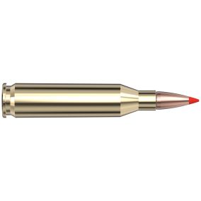 Cartouches 243 Win 95 gr SST® American Whitetail® TIPPED x 20 Hornady 80461