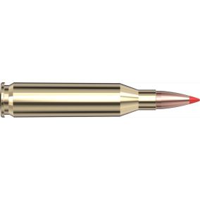 Cartouches 243 Win 87 gr SST® Custom Lite® x 20 Hornady