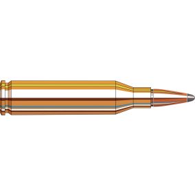 Cartouches 243 Win 100 gr InterLock® BTSP American Whitetail® x 20 Hornady