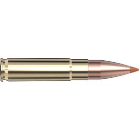 Cartouches 300 Blackout 110 gr NTX® Black x 20 Hornady