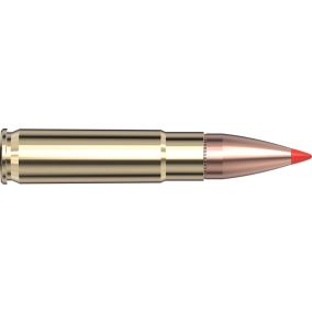 Cartouches 300 Blackout 110 gr V-MAX® Black x 20 Hornady