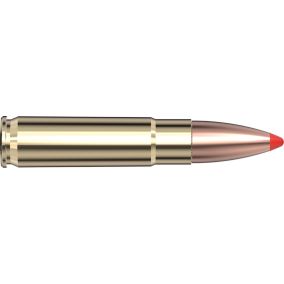 Cartouches 300 Blackout 135 gr FTX® x 20 Hornady