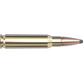 Cartouches 308 Win 165 gr InterLock® SP American Whitetail® x 20 Hornady