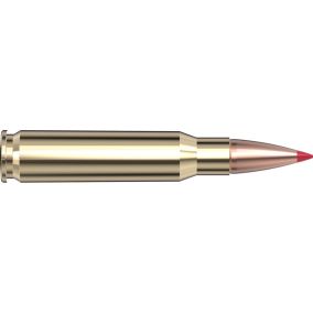 Cartouches 308 Win 150 gr CX™  Superformance® x 20 Hornady sans plombs