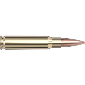 Cartouches 308 Win 168 gr BTHP Match  x 20 Hornady