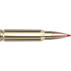 Cartouches 308 Win 165 gr. CX™ Superformance® x 20 Hornady