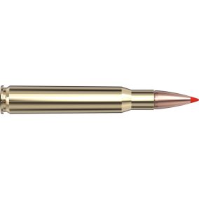 Cartouches 30-06 Springfield 165 gr SST® Superformance® x 20 Hornady