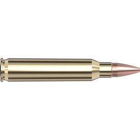 Cartouches 5.56 NATO 55 gr. CX™ Superformance® x 20 Hornady