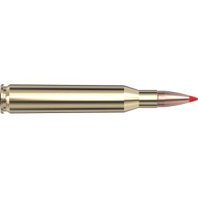 Cartouches 25-06 Rem 117 gr SST® Superformance® x 20 Hornady