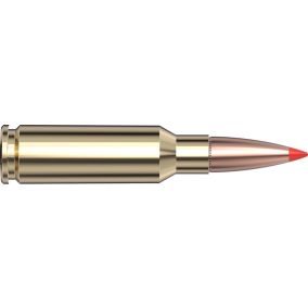 Cartouches 6.5 Grendel 123 GR SST®  x 20 Hornady