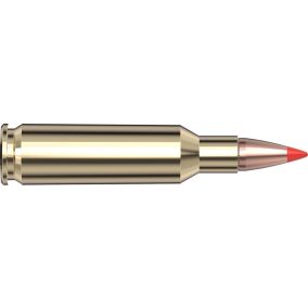 Cartouches 224 Valkyrie 60 gr V-MAX® Varmint Express® x 20 Hornady
