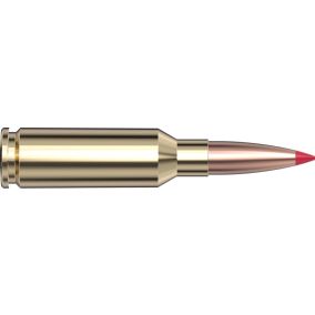 Cartouches 6mm ARC 80 gr ELD-VT™ V-Match™ x 20 Hornady