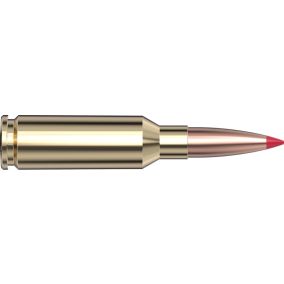 Cartouches 6mm ARC 108 gr ELD® Match x 20 Hornady