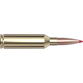 Cartouches 6.5 PRC 143 gr ELD-X® Precision Hunter x 20 Hornady