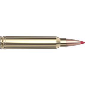 Cartouches 300 Win Mag 200 gr ELD-X® Precision Hunter x 20 Hornady