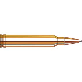 Cartouches 300 Win Mag 165 gr InterLock® BTSP x 20 Hornady
