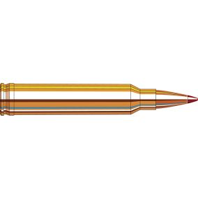 Cartouches 300 Win Mag 178 gr ELD-X® Precision Hunter x 20 Hornady