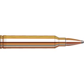 Cartouches 300 Win Mag 180 gr InterLock® SP American Whitetail® x 20 Hornady