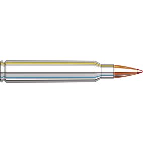 Cartouches 300 Remington Ultra Mag 180 gr CX™ Outfitter x 20 Hornady