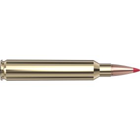 Cartouches 300 Rem Ultra Mag 220 gr ELD-X® Precision Hunter x 20 Hornady