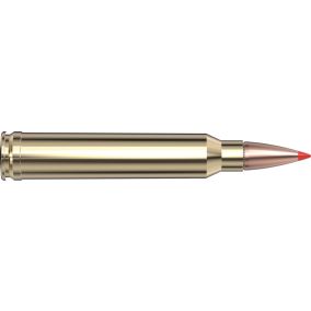 Cartouches 300 Win Mag 180 gr SST® Superformance® x 20 Hornady 