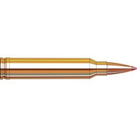 Cartouches 300 Win Mag 180 gr SST® Superformance® x 20 Hornady 