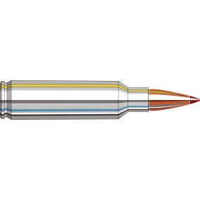 Cartouches 300 WSM 180 gr CX™ Outfitter x 20 Hornady