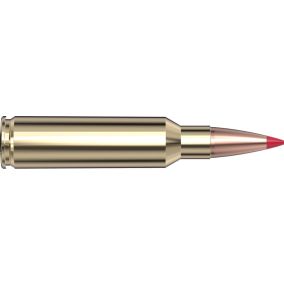Cartouches 300 RCM 178 gr ELD-X® Precision Hunter x 20 Hornady
