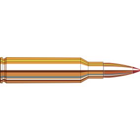 Cartouches 300 RCM 150 gr GMX® Superformance® x 20 Hornady