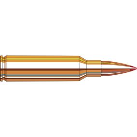Cartouches 300 RCM 150 gr SST® Superformance® x 20 Hornady