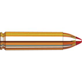 Cartouches 450 Bushmaster 250 gr FTX® Black x 20 Hornady