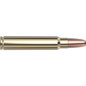 Cartouches 375 Ruger 300 gr DGX® Bonded x 20 Hornady
