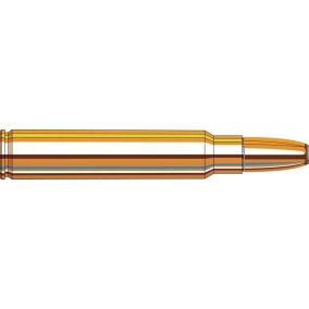 Cartouches 375 Ruger 300 gr DGX® Bonded x 20 Hornady