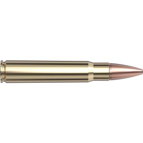 Cartouches 376 Steyr 225 gr InterLock® SP-RP x 20 Hornady