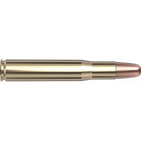 Cartouches 404 Jeffery 400 gr DGS®  x 20 Hornady