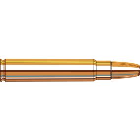 Cartouches 416 Ruger 400 gr DGS® x 20 Hornady