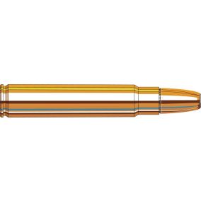 Cartouches 416 Ruger 400 gr DGX® Bonded x 20 Hornady