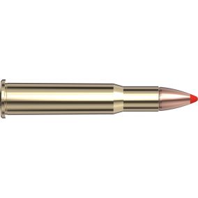 Cartouches 30-30 Win 160 gr FTX® LEVERevolution®  x 20 Hornady