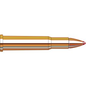 Cartouches 30-30 Win 160 gr FTX® LEVERevolution®  x 20 Hornady