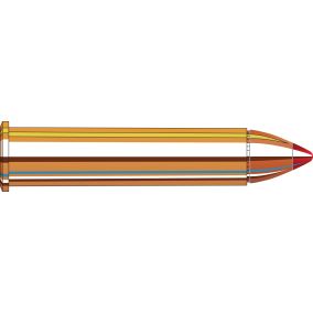 Cartouches 45-70 Government 325 gr FTX® LEVERevolution®  x 20 Hornady