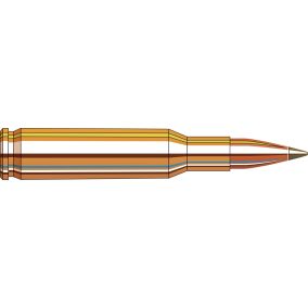Cartouches 222 Rem 35 gr NTX Superformance® x 20 Hornady 
