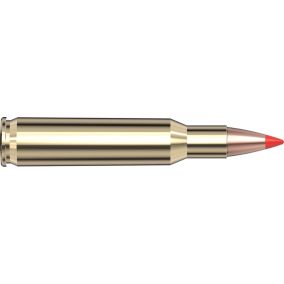 Cartouches 243 Win 75 gr V-MAX® Superformance® Varmint  x 20 Hornady