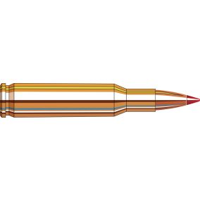 Cartouches 204 Ruger 24 gr NTX® Superformance® x 20 Hornady