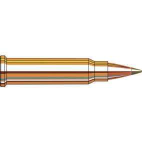 Cartouches 17 HMR® 15.5 gr NTX® x 50 Hornady